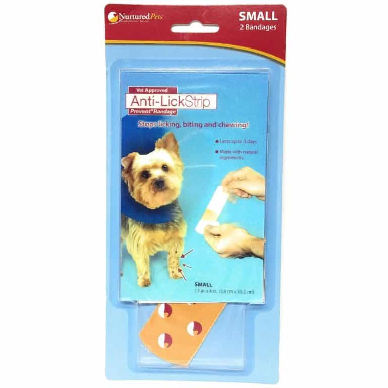 Can You Put Neosporin On A Dog? Top Lap Dogs