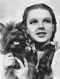 Toto With Dorothy